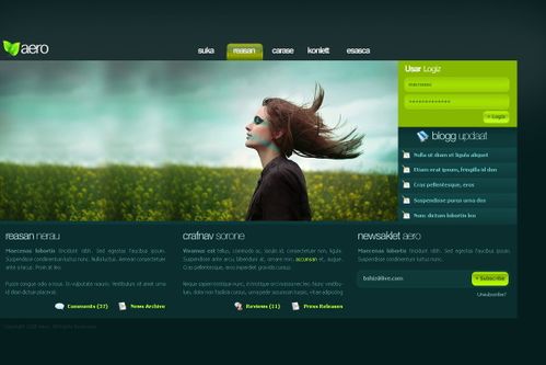 網(wǎng)頁(yè)設(shè)計(jì)入門(mén) 必備軟件與專(zhuān)業(yè)網(wǎng)站設(shè)計(jì)服務(wù)指南